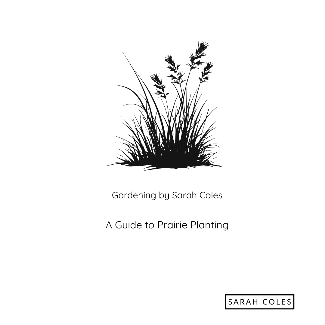 A Guide to Prairie Planting. Image: Grasses