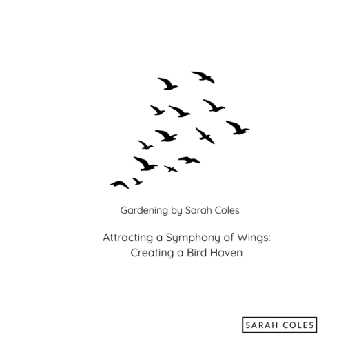 Attracting a Symphony of Wings Creating a Bird Haven. Gardening by Sarah Coles