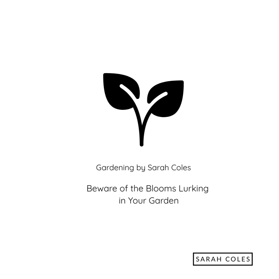 Beware of the Blooms Lurking in your Garden. Gardening by Sarah Coles