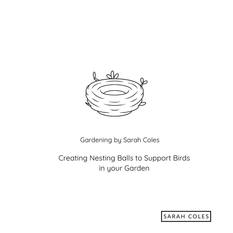 Creating Nesting Balls to Support Birds in your Garden. Gardening by Sarah Coles. Outline Image: Nest.