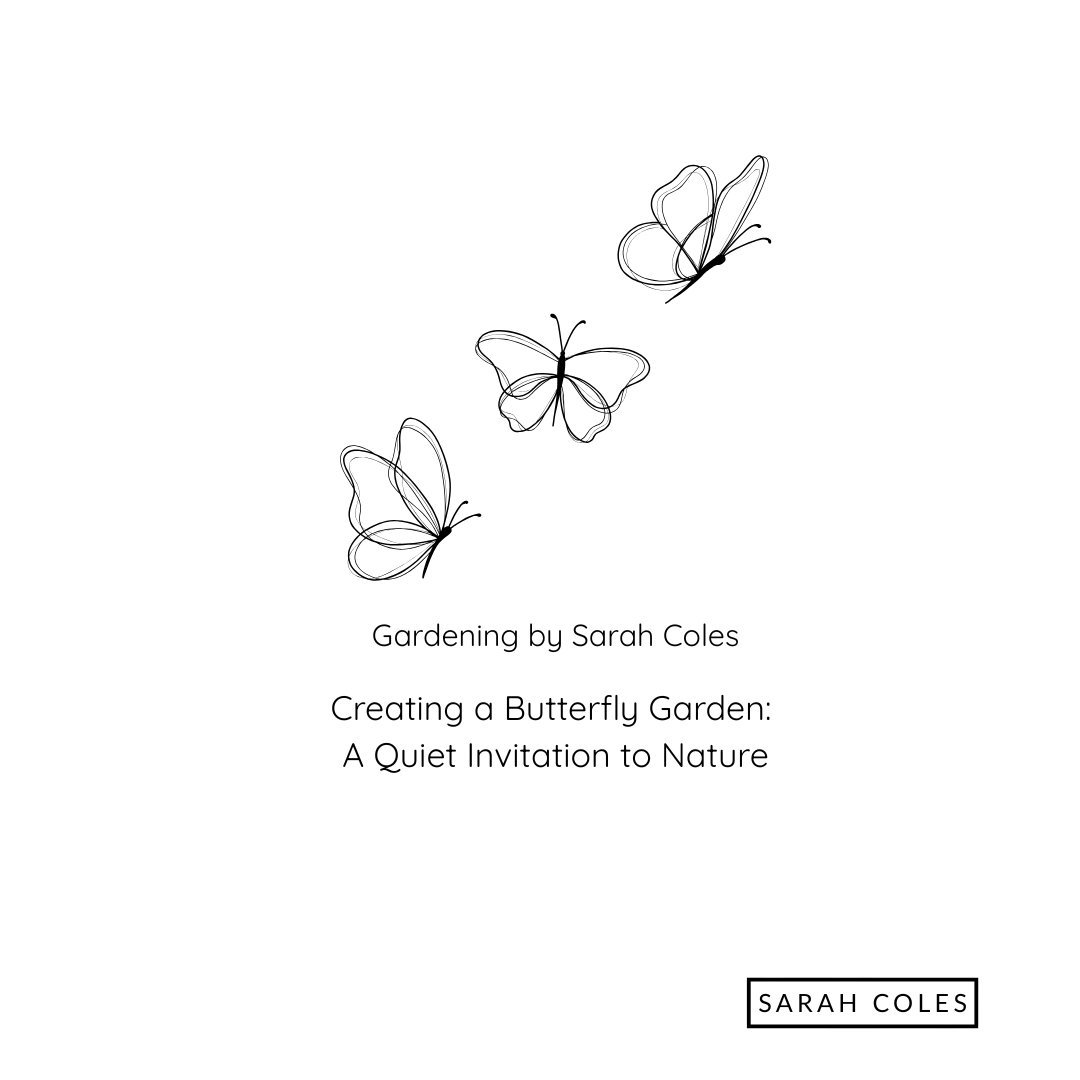 Creating a Butterfly Garden. A Quiet Invitation to Nature. Image: Butterflies