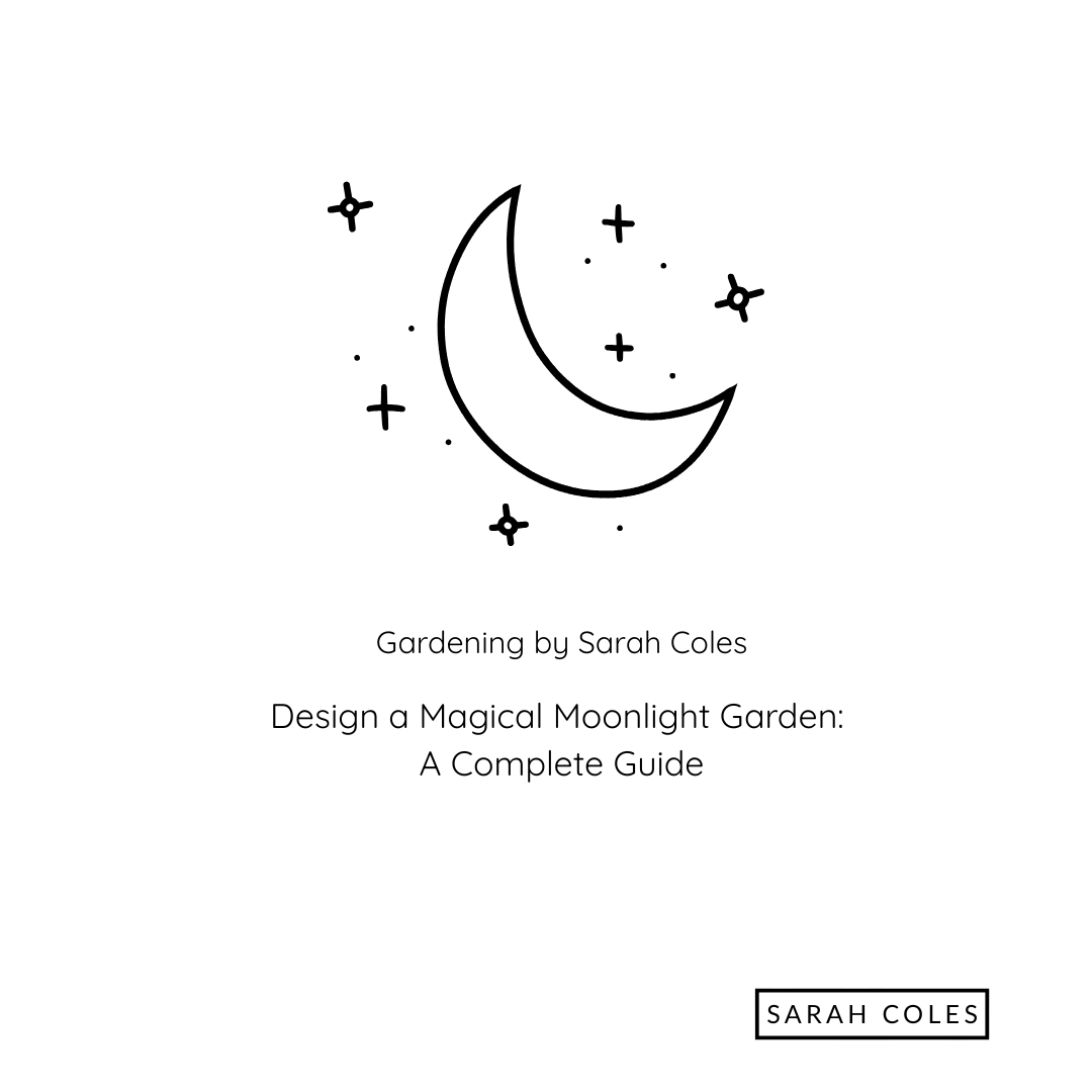 Design a Magical Moonlight Garden. A Comprehensive Guide. Image: Outline of Moon and Stars.