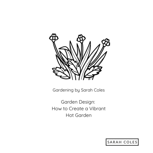 Garden Design. How to Create a Vibrant Hot Garden. Image: Outline Flowers.