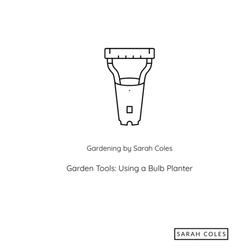 Garden Tools. Using a Bulb Planter. Image: Bulb Planter