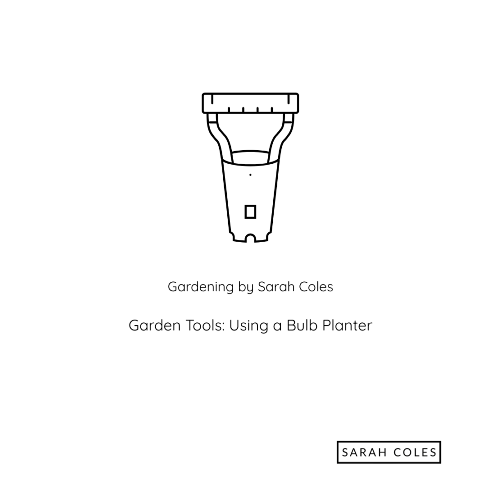 Garden Tools. Using a Bulb Planter. Image: Bulb Planter