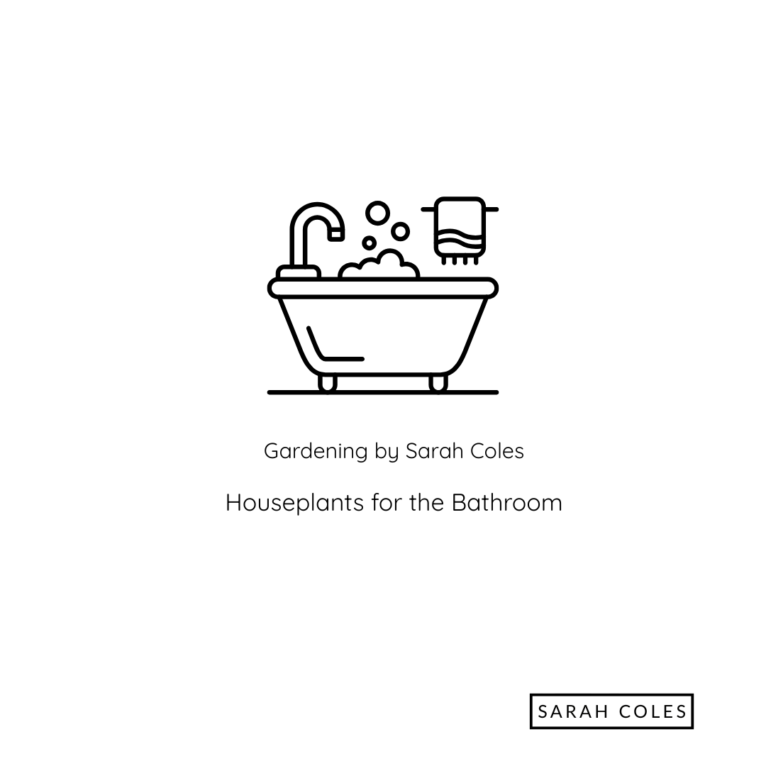 Houseplants for the Bedroom. Image: Outline of a Bathroom