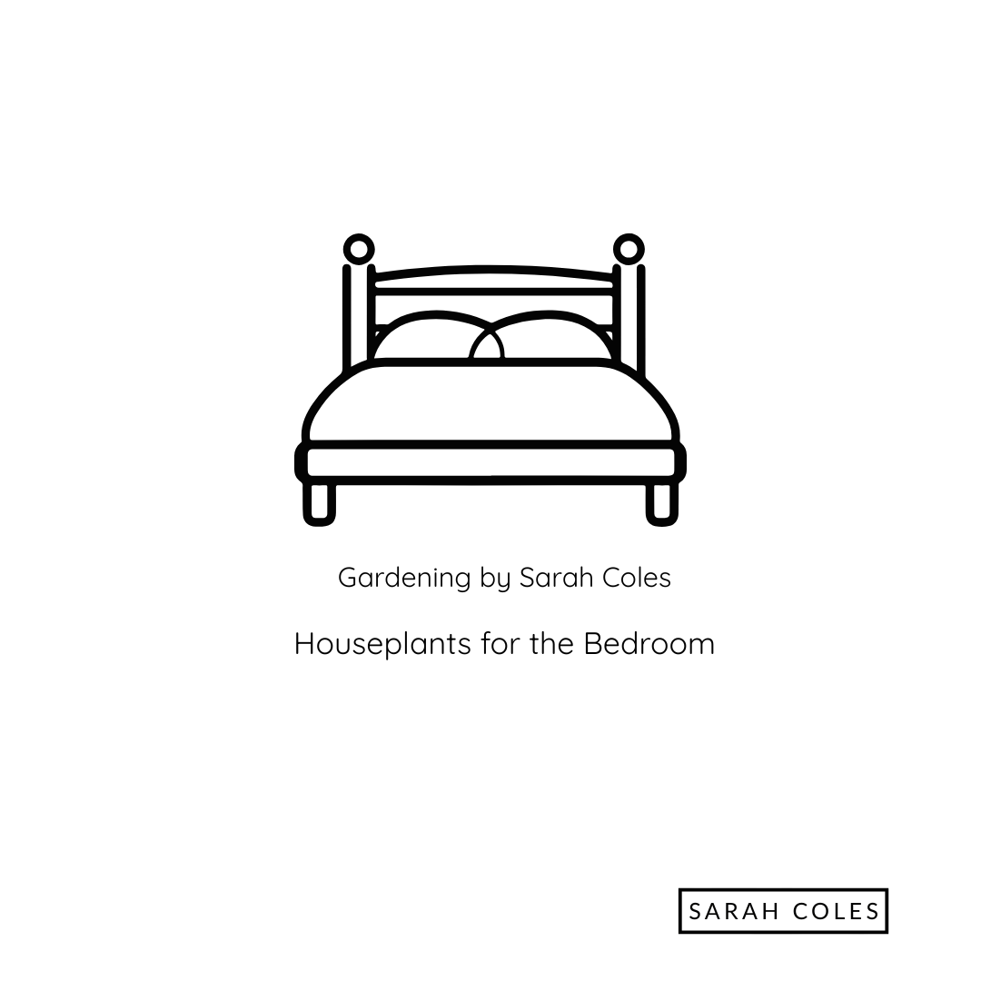 Houseplants for the Bedroom. Image: outline of a bed.
