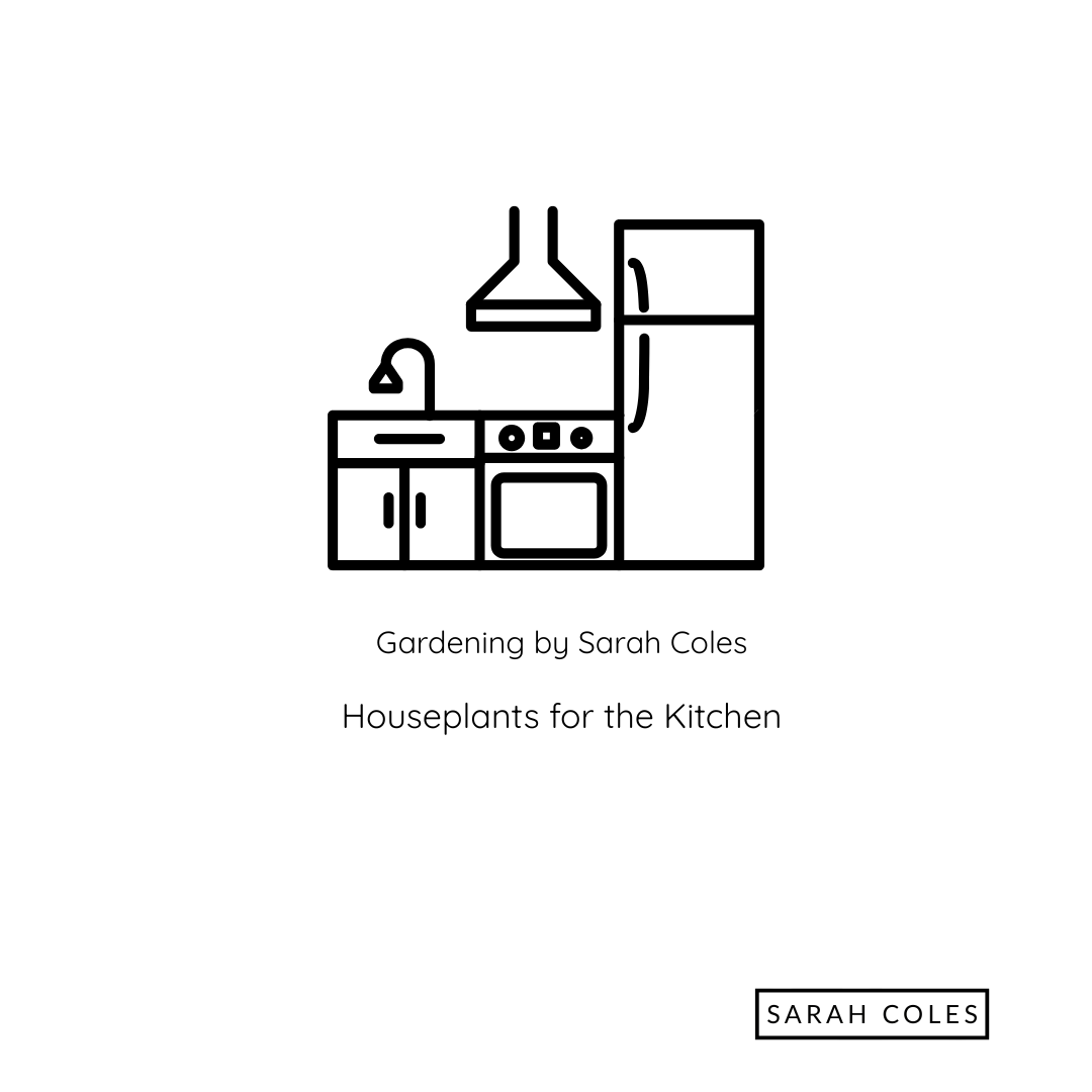 Houseplants for the Kitchen. Image: Kitchen