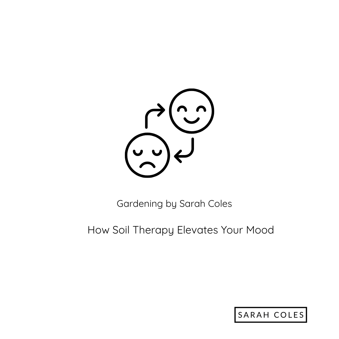 How Soil Therapy Elevates your Mood. Image: Outline of Sad Face Changing to Happy Face. Gardening by Sarah Coles