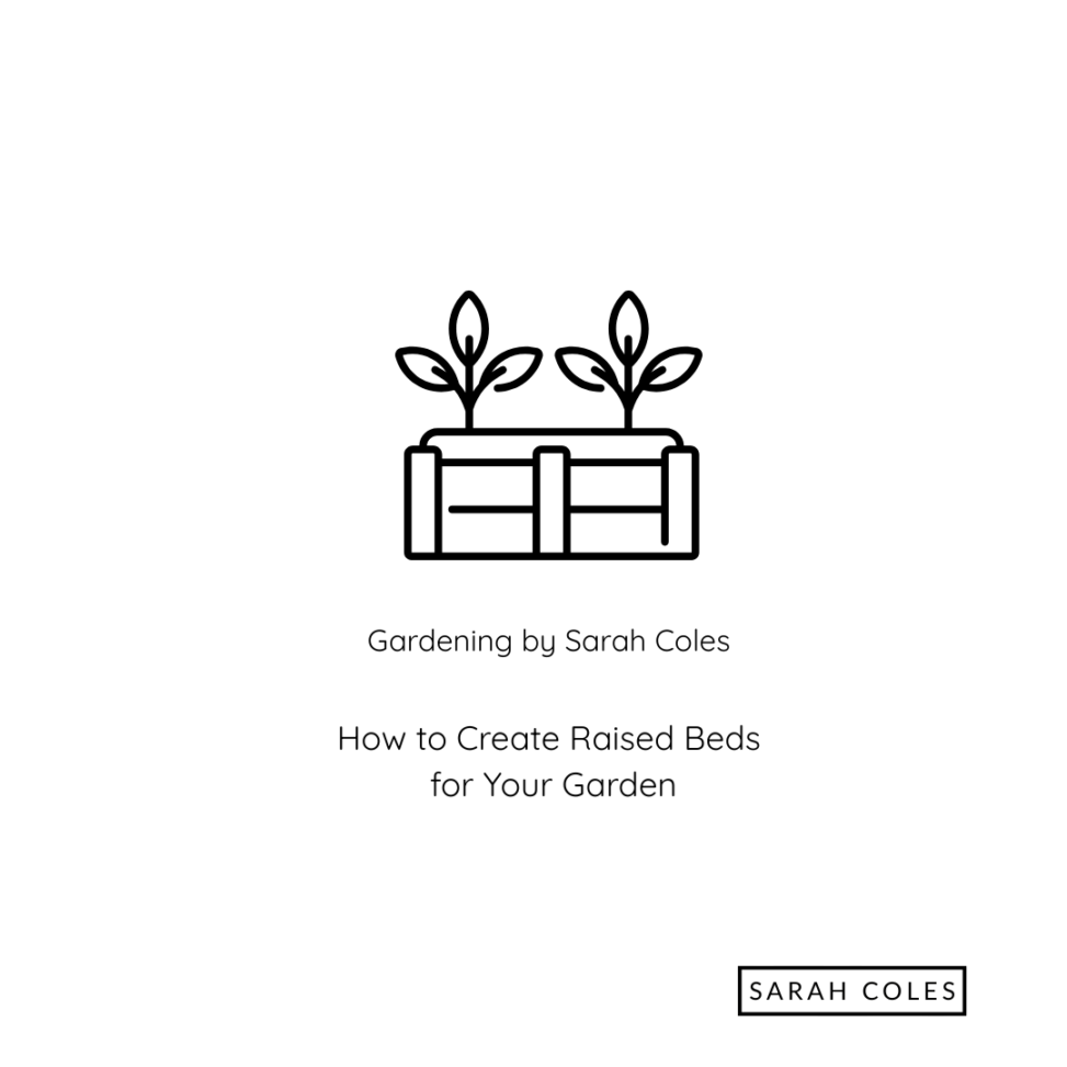How to Create Raised Beds for your Garden. Gardening by Sarah Coles. Image: Outline of Raised Bed