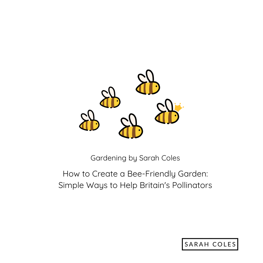 How to Create a Bee-Friendly Garden: Simple Ways to Help Britain's Pollinators. image of colourful hand drawn bees.