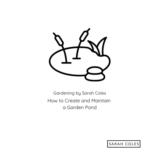 How to Create and Maintain a Garden Pond. Gardening by Sarah Coles. Outline of Pond.