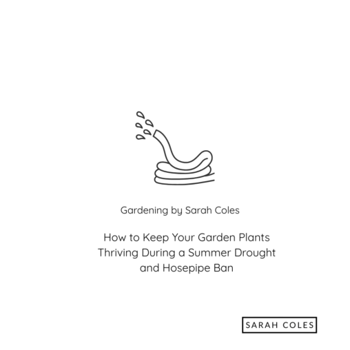 How to keep your garden plants thriving during a summer drought and hosepipe ban. sarah coles. image: outline of hosepipe
