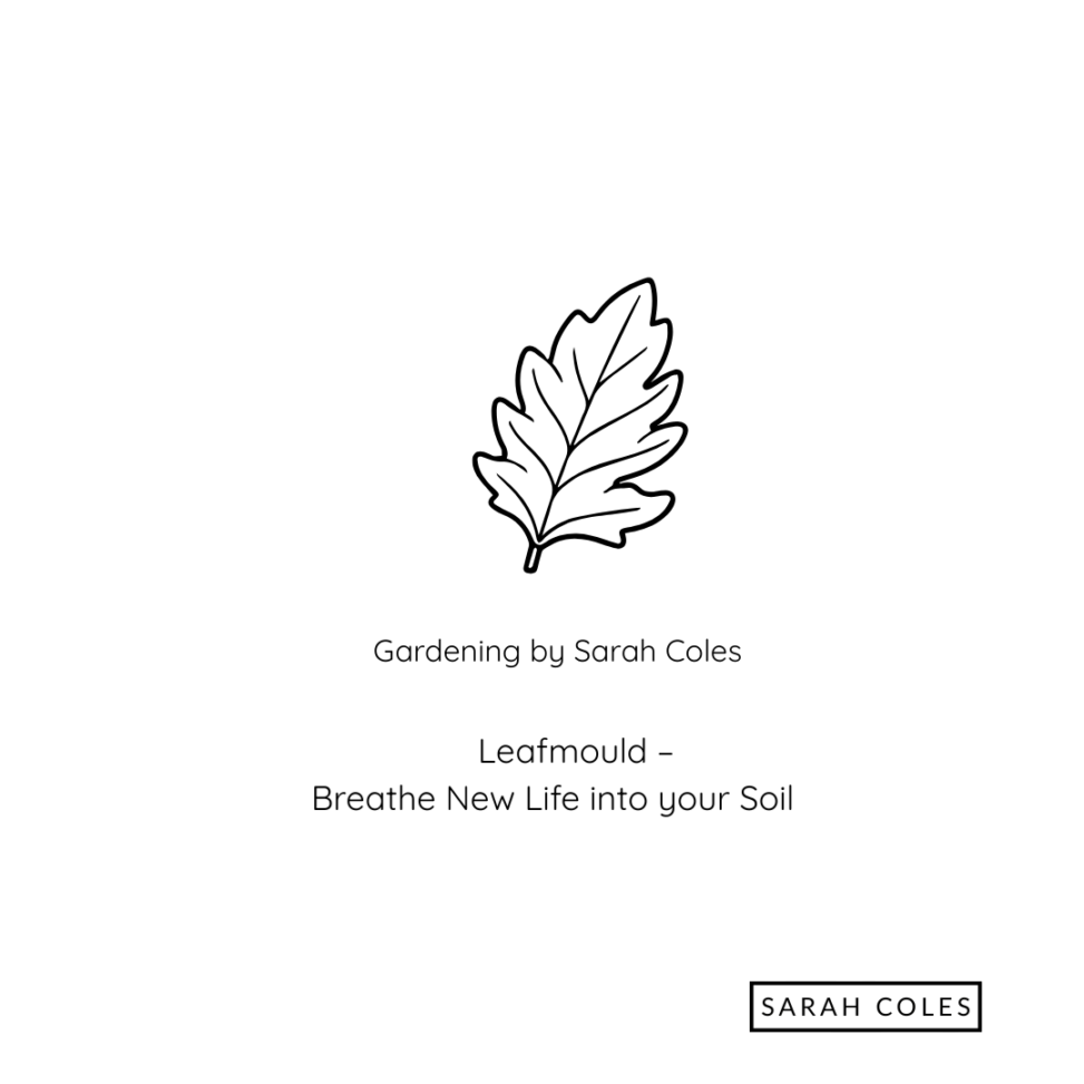 Outline of Leaf. Gardening by Sarah Coles. Leafmould - Breathe New Life into your Soil.