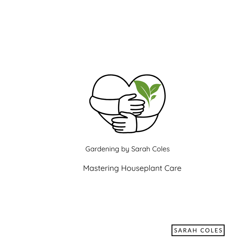 Mastering Houseplant Care. Image of Houseplant. Gardening by Sarah Coles