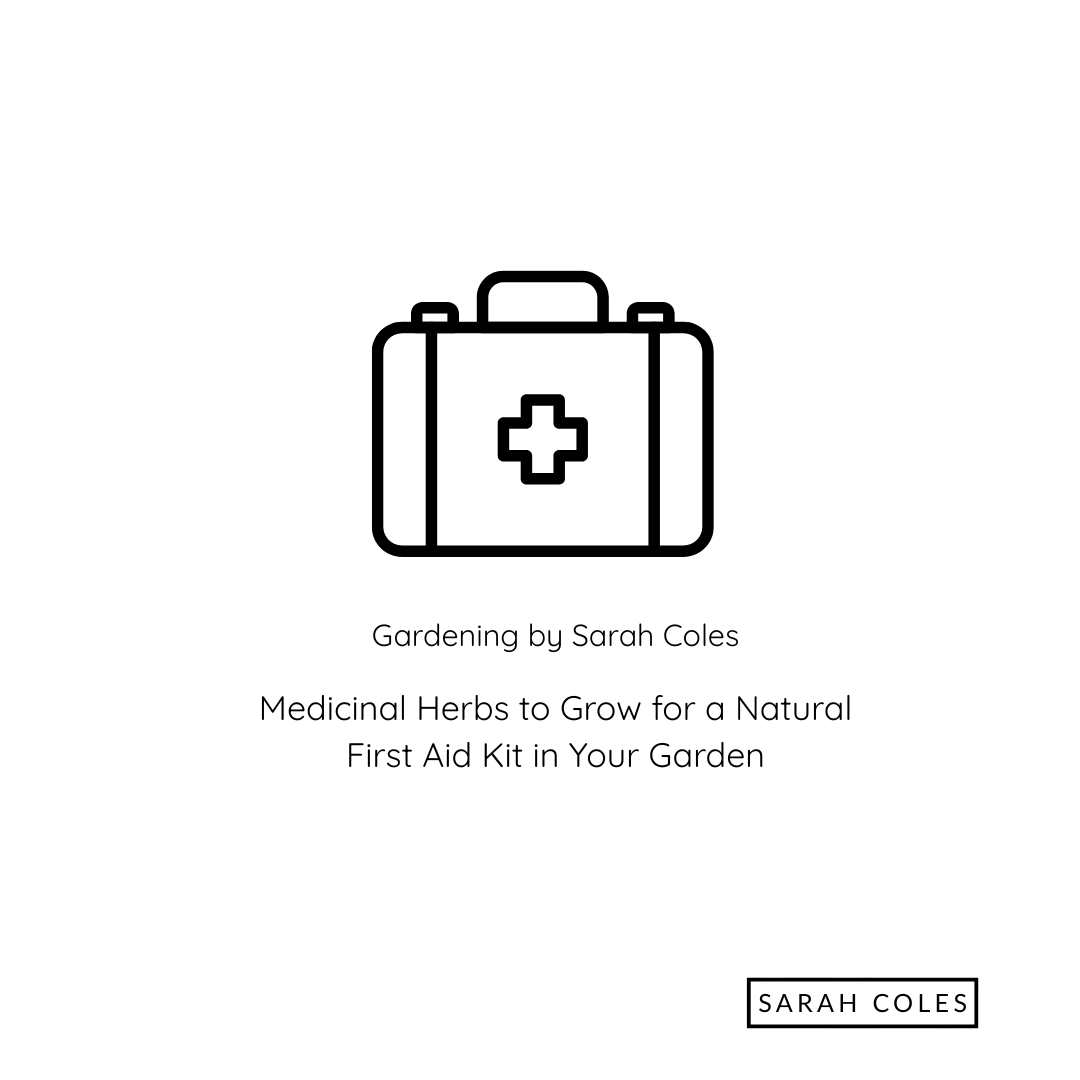 Medicinal Herbs for Grow for a Natural First Aid Kit in your Garden. Image: First Aid Kit