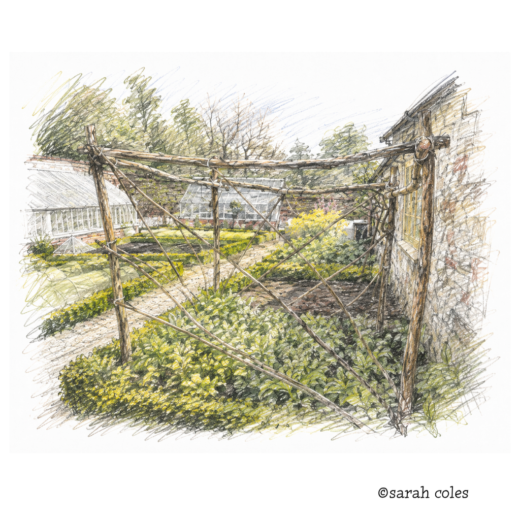 Oxburgh Hall Greenhouse.
Colour Sketch
© Sarah Coles