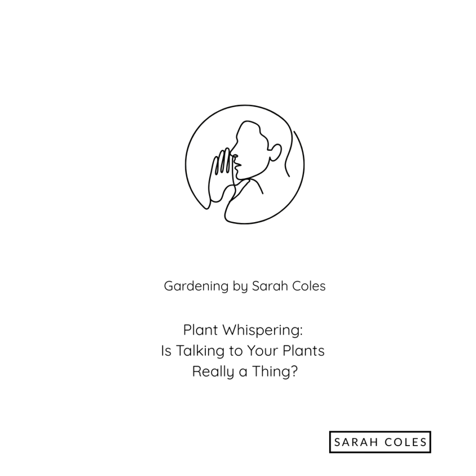 Plant Whispering. Is Talking to your Plants Really a Thing? Gardening by Sarah Coles. Outline Symbol for Whispering.