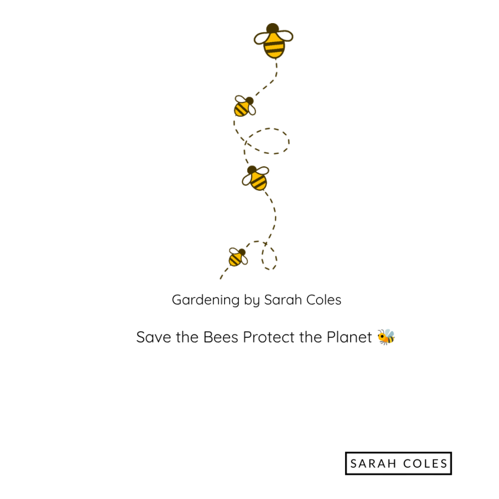 Save the Bees - Protect the Planet. image: outline of bees flying.