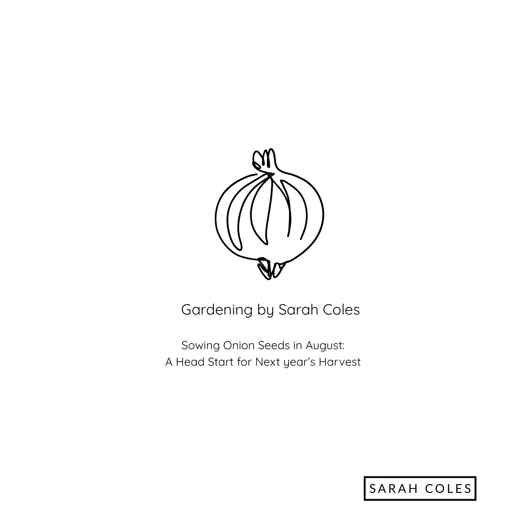 Sowing Onion Seeds in August. A Head Start for Next Year's Harvest. Image: outline of onion.