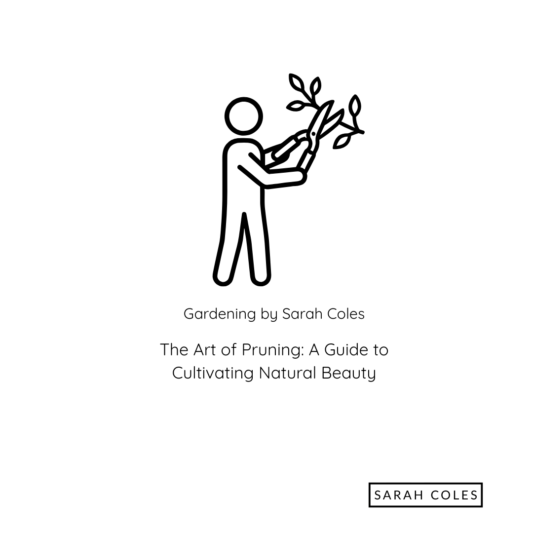 The Art of Pruning. A Guide to Cultivating Natural Beauty. Image: Outline of Person Pruning.