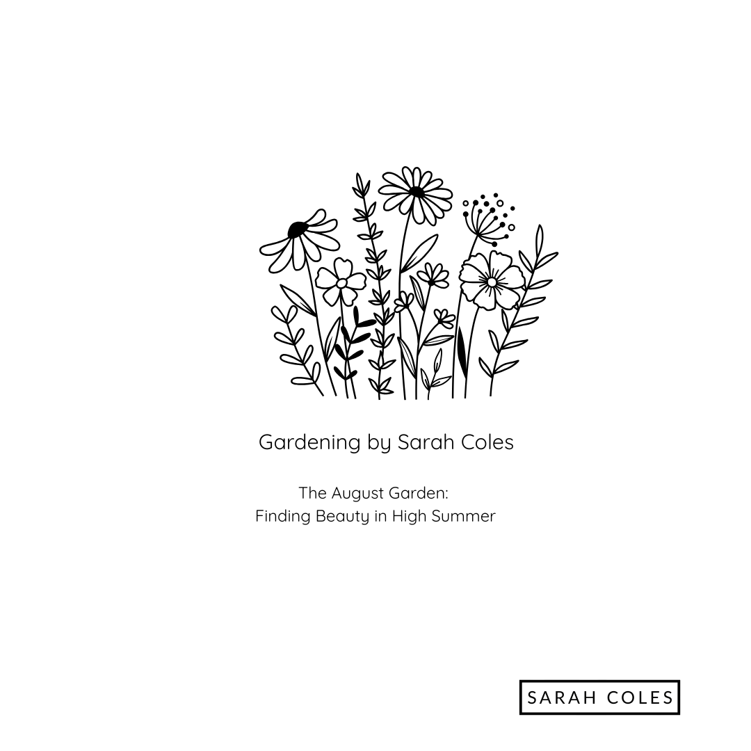 The August Garden. Finding Beautiy in High Summer. Image outline of flowers.