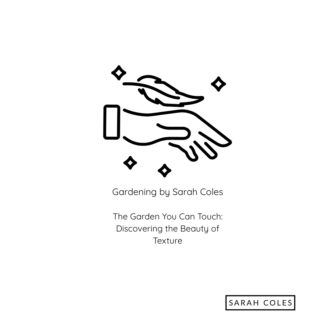 The Garden you can Touch. Discovering the Beauty of texture. Image: Outline of Hands Touching a Leaf.