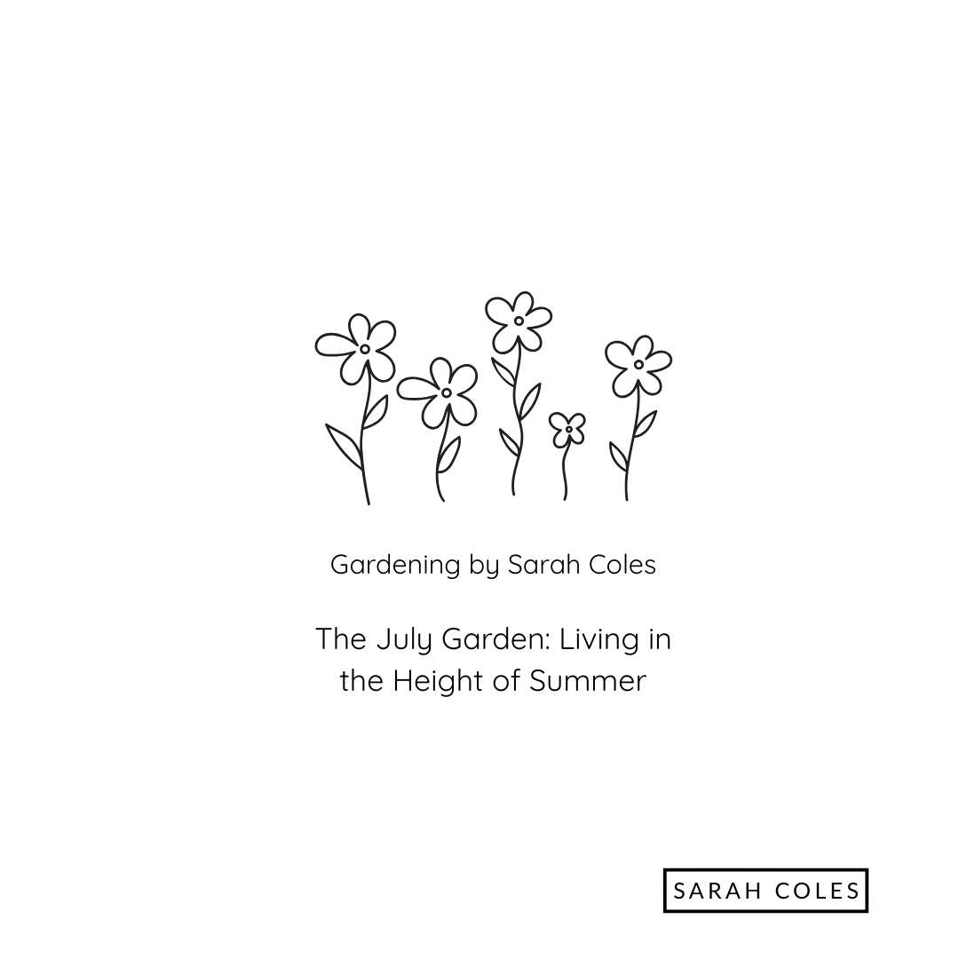 The July Garden Living in the Height of Summer. Image: Outline of Flowers