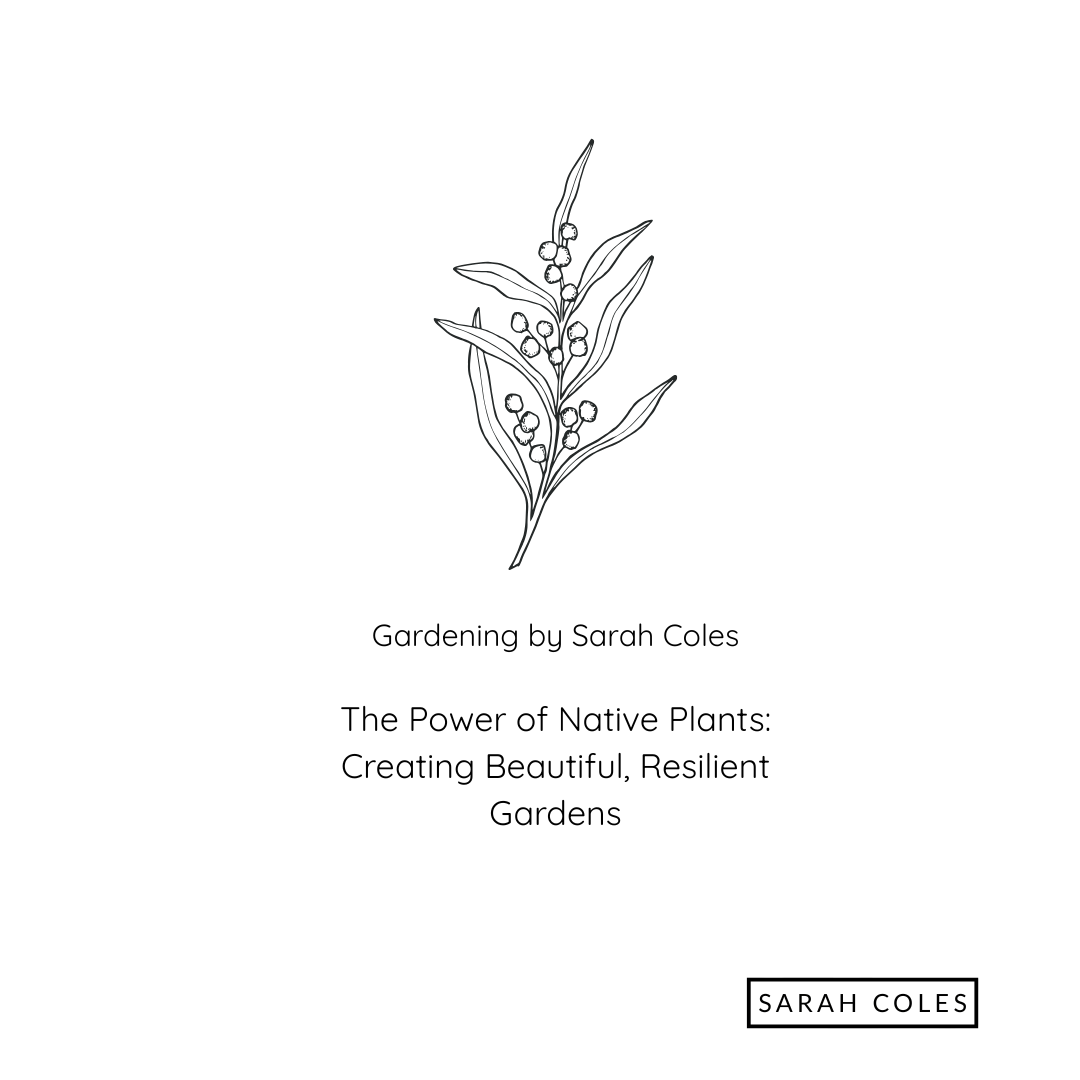 The Power of Native Plants Creating Beautiful Resilient Gardens. Image: Native Plant Outline