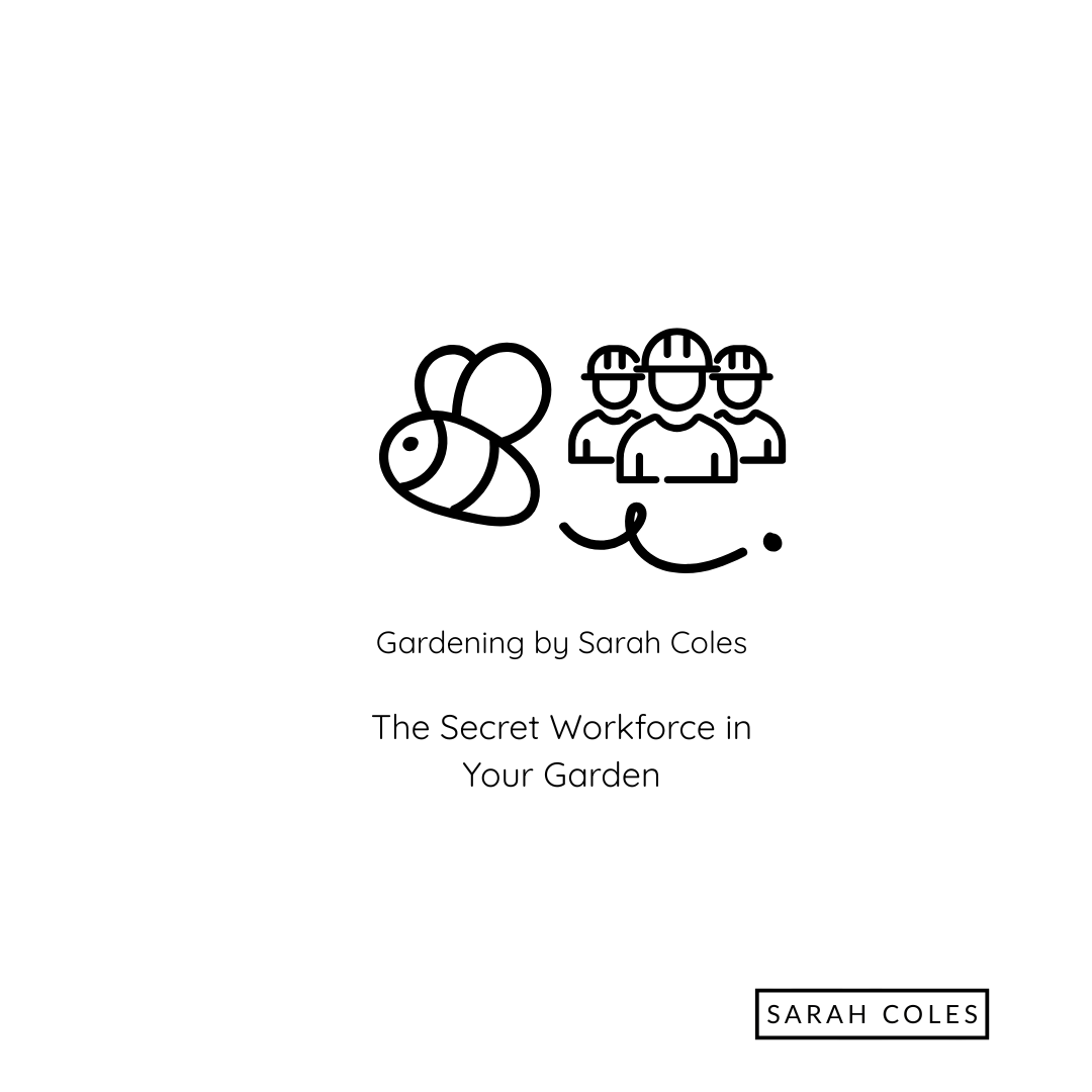 The Secret Workforce in your Garden. Image: Outline of Bee and Workers in Hardhats.