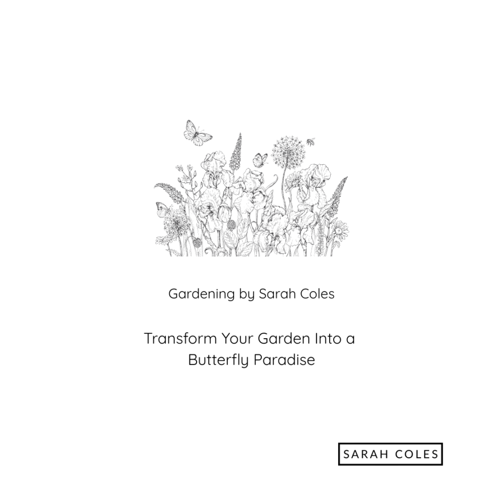 Transform your Garden into a Butterfly Paradise. Image: outline of flowers and butterflies
