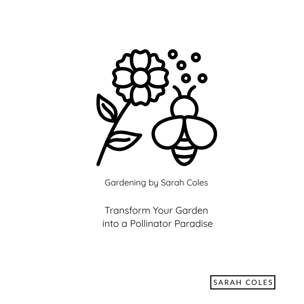 Transform your Garden into a Pollinator Paradise. Outline image of flower and bee. Gardening by Sarah Coles