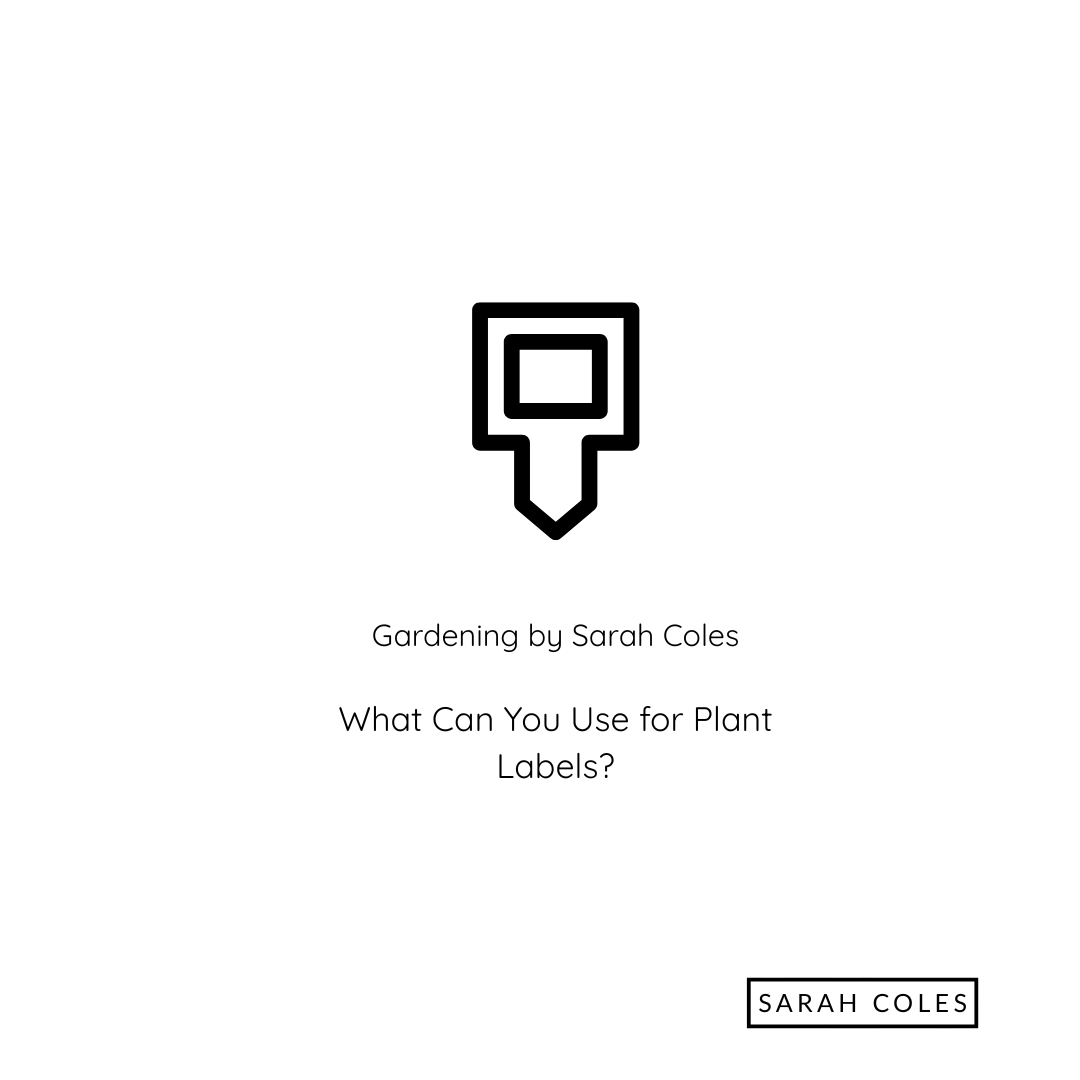 What Can You Use for Plant Labels. Image: Outline of Plant Label.