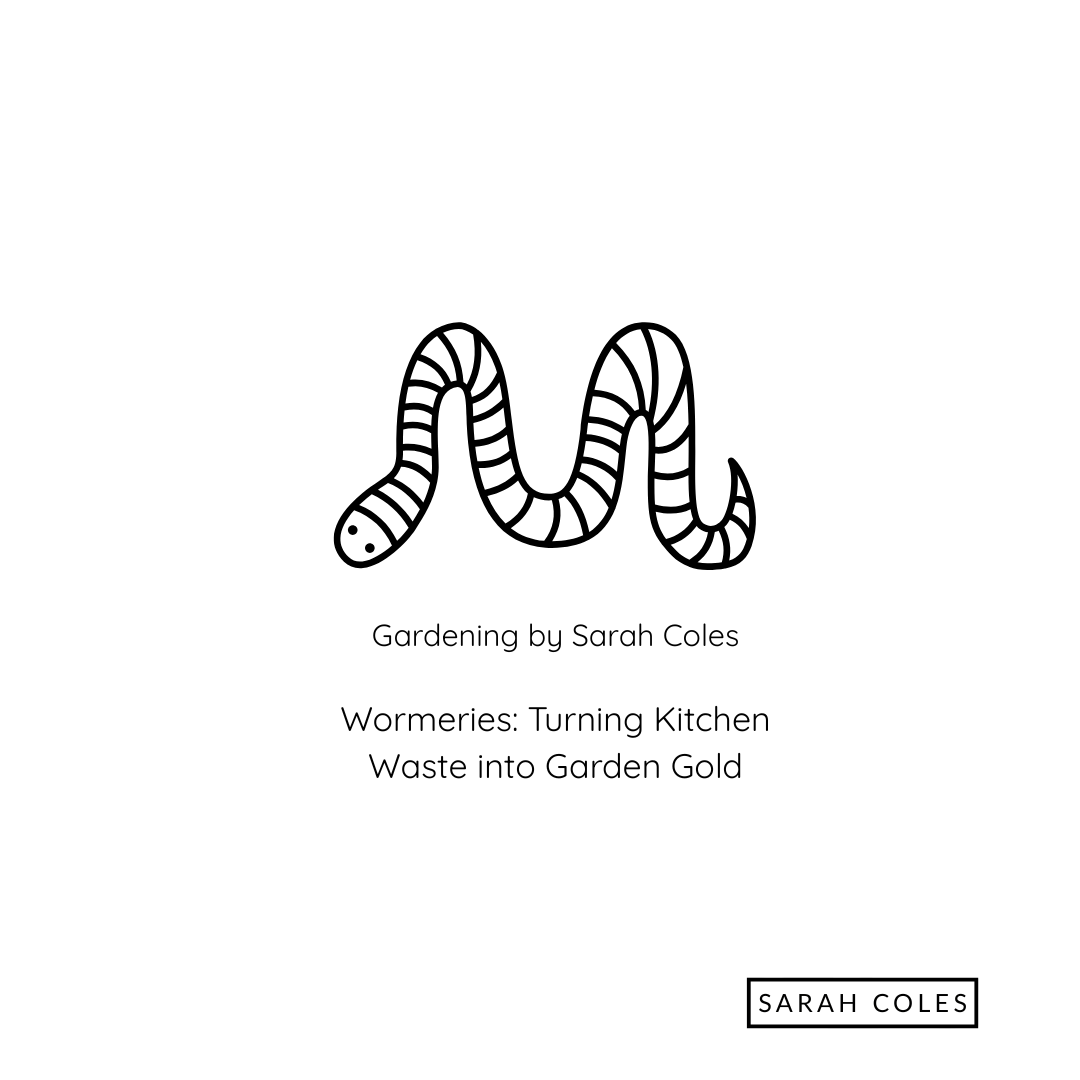 Wormies - Turning Kitchen Wate into Garden Gold. Image: Outline of Worm