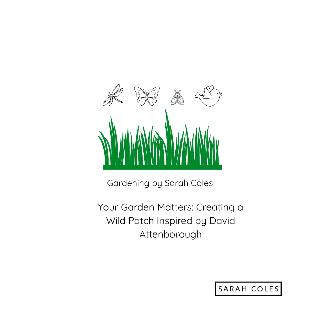 Your Garden Matters. Creating a Wild Patch Inspired by David Attenborough. Image: Green Grass Dragonfly, Butterfly, Bug and Bird.