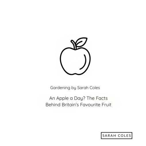 An Apple a Day? The Facts Behind Britain’s Favourite Fruit. Gardening by Sarah Coles Outline of an Apple