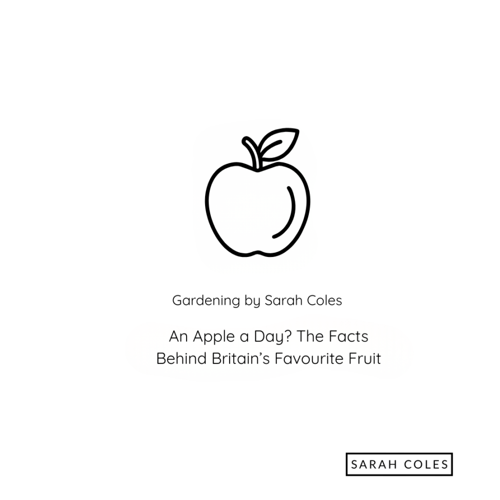 An Apple a Day? The Facts Behind Britain’s Favourite Fruit. Gardening by Sarah Coles Outline of an Apple