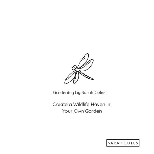 Outline of Dragonfly. Gardening by Sarah Coles. Create a Wildlife haven in your own Garden.