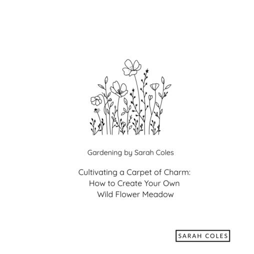 Cultivating a Carpet of Charm. How to Create your own Wild Flower Meadow. Image: outline of flowers. Gardening by Sarah Coles.