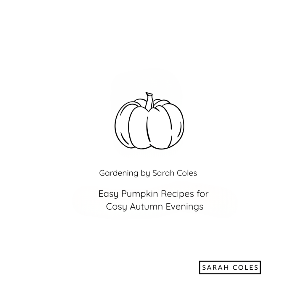 Easy Pumpkin Recipes for Cosy Autumn Evenings. Outline of Pumpkin. Gardening by Sarah Coles