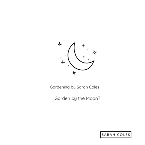 Garden by the Moon. Gardening by Sarah Coles. Image: Outline of Moon and Stars