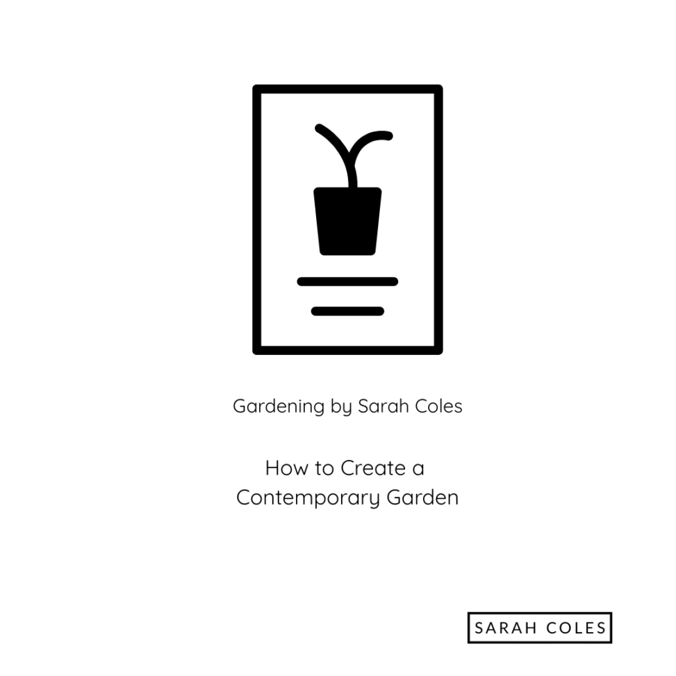 How to create a contemporary garden. Outline of Plant. Gardening by Sarah Coles