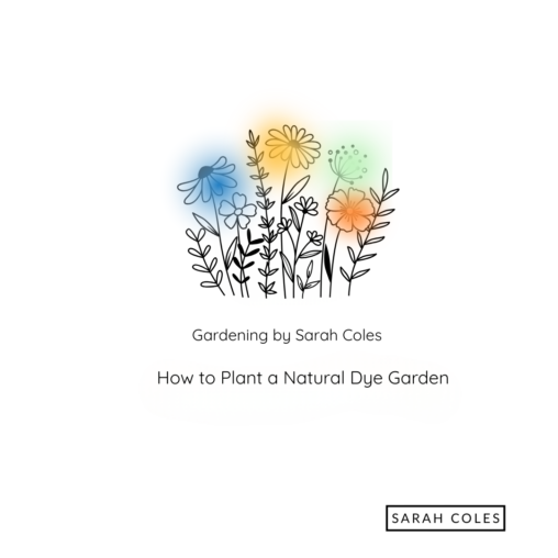 How to Plant a Natural Dye Garden. Gardening by Sarah Coles. Outline of Plants. Colour Blurs.