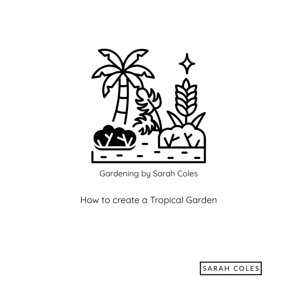 How to Create a Tropical Garden. Outline of Tropical Tree and Planting. Gardening by Sarah Coles.