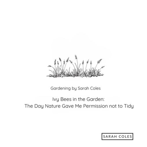 Ivy Bees in the Garden: The Day Nature Gave Me Permission not to Tidy. Image: Grasses