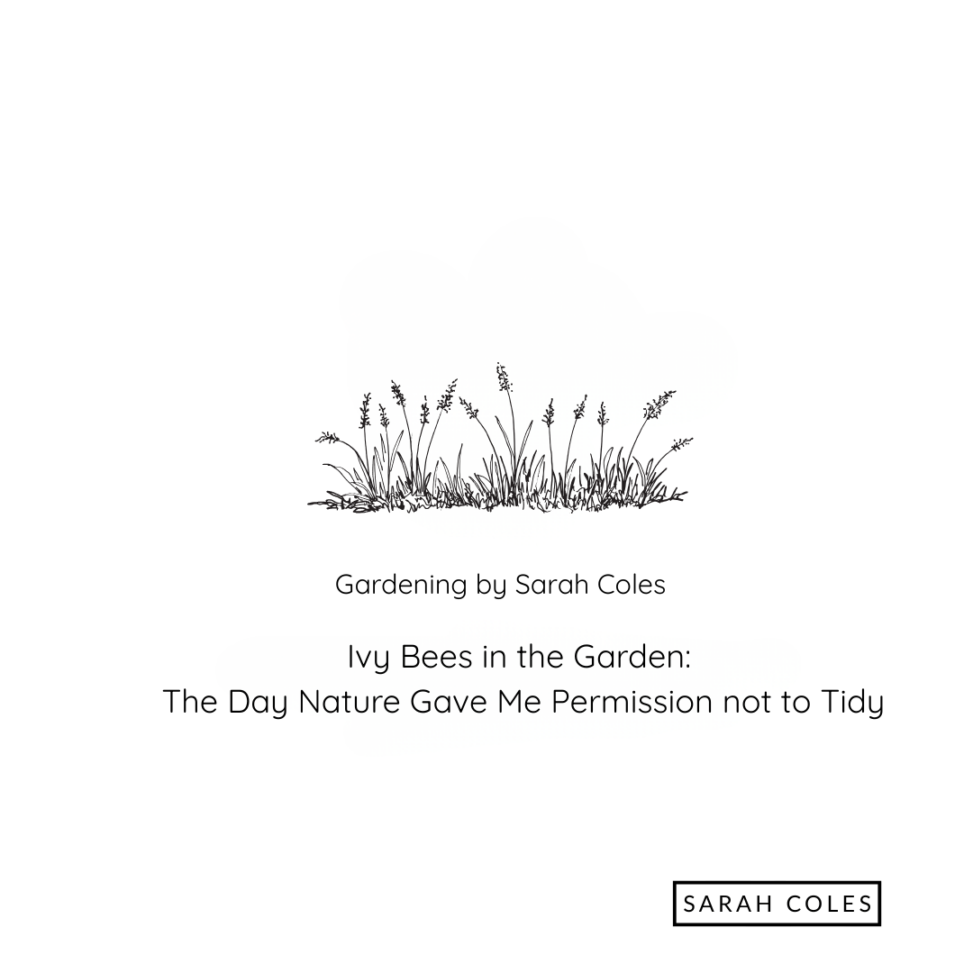 Ivy Bees in the Garden: The Day Nature Gave Me Permission not to Tidy. Image: Grasses