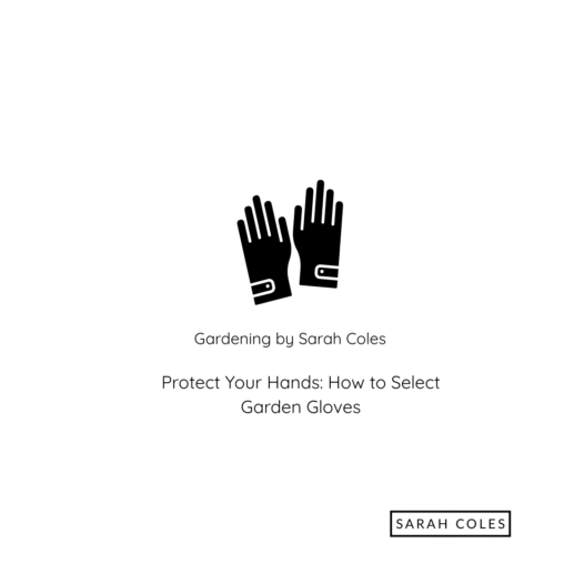 Protect your Hands. How to Select Garden Gloves. Image: Gloves. Gardening by Sarah Coles