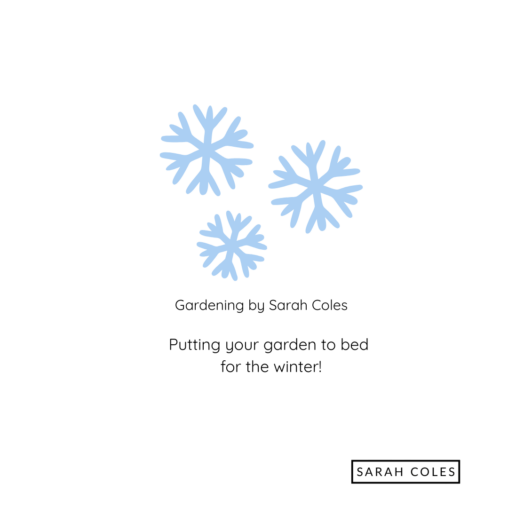Putting your garden to bed for the winter. Gardening by Sarah Coles. Outline image of ice flakes.