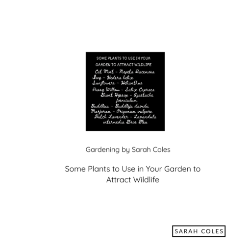 Extract of Notepad Notes of Plants for wildlife gardening. Gardening by Sarah Coles. Some Plants to use in your Garden to Attract Wildlife.