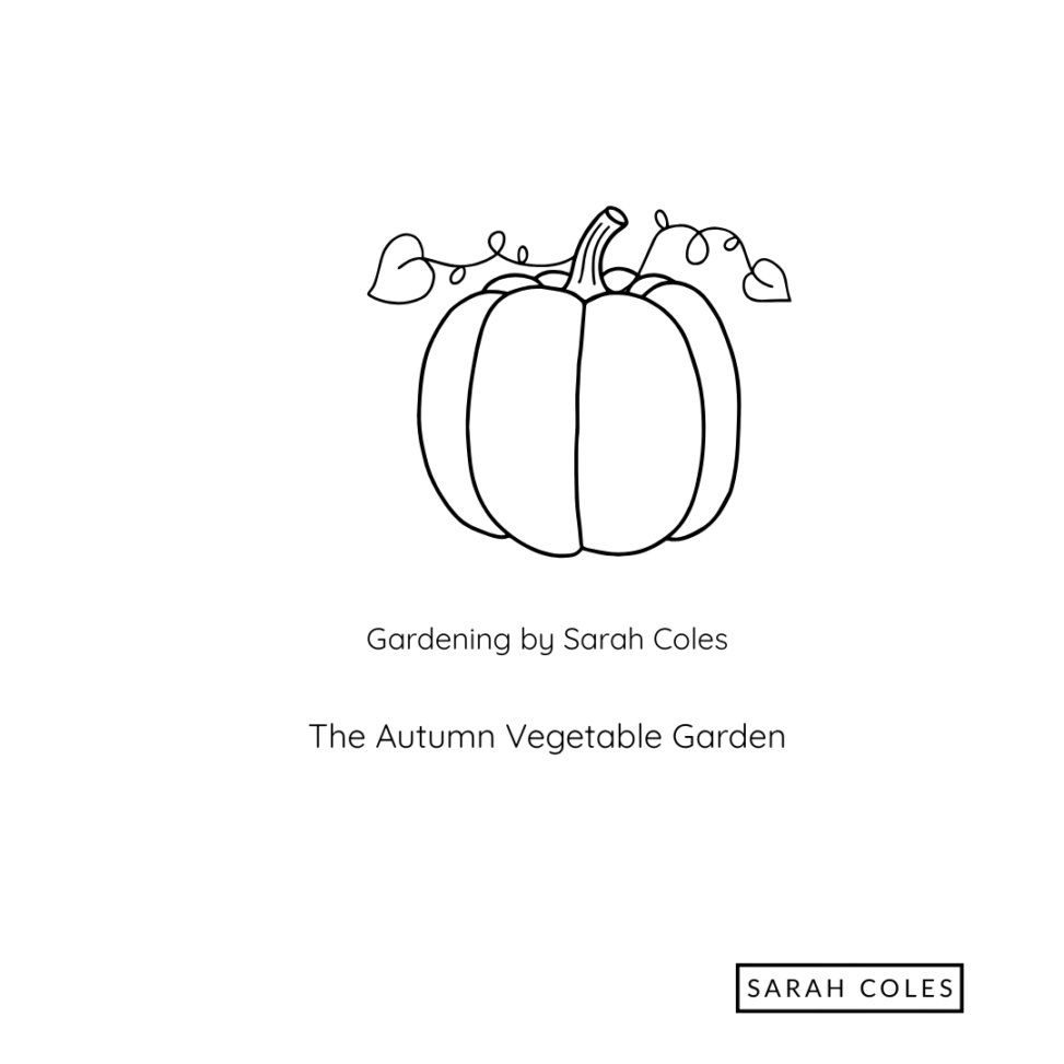 Outline of Pumpkin. Gardening by Sarah Coles. The Autumn Vegetable Garden